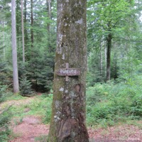 haegeles_brunnenklinge_03