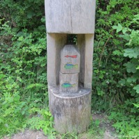 herrenbachtal_01