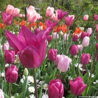 naturagart_06